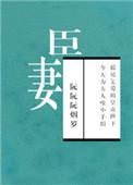 臣妻(npc