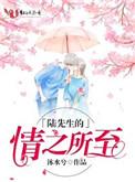 陆先生的情之所至免费