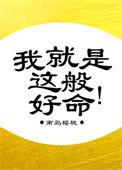 我就是这般好命TXT