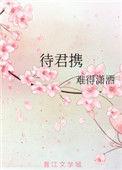 待君携TXT资源