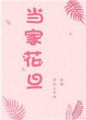 当家花旦番外完整版txt