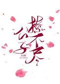 公子他总是不对劲