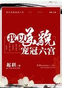 我以美貌宠冠六宫讲什么