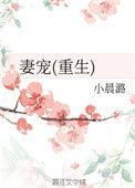 妻宠小晨潞