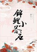清穿锦鲤小答应txt书包网
