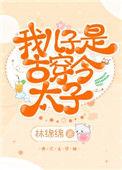 我儿子是古穿今的太子