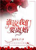 谁说我们要离婚主要内容