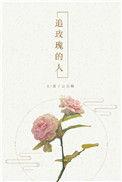 追玫瑰的人番外txt