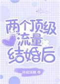 两个顶级流量结婚后简介