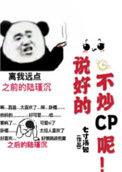 说好的不炒cp呢免费阅读