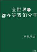 全世界都在等你们分手 电视剧