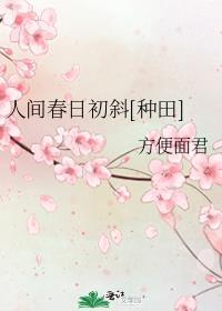 人间春风全文免费阅读