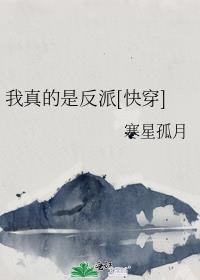 被招婿了 番外