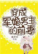 穿成军婚男主的前妻书包网