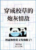 穿成校草的炮灰情敌无广告