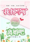 所以离婚吧晋江