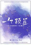 从天而降的一亿颗星星讲的什么故事