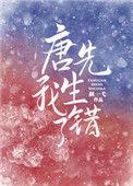 唐先生免费阅读