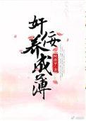 奸佞养成簿 阿南泉