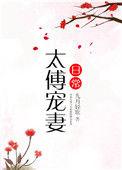 太傅宠妻日常书包网