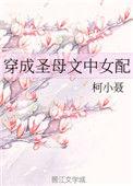 穿成圣母文中女配男主是谁