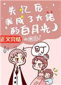 失忆后我成了大佬的白月光番外