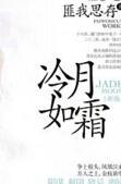 冷月如霜讲的啥