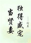 当贤妻独得盛宠晋江