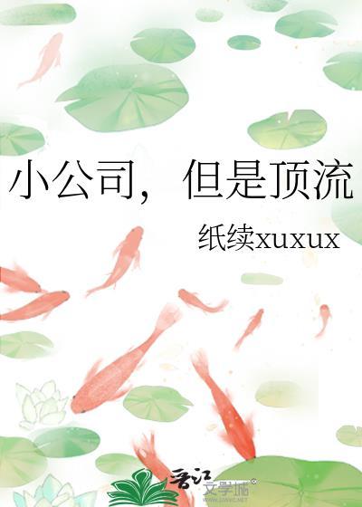 小公司 知乎