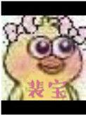 裴宝漫画免费漫画在线观看