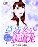 总裁老公霸道宠妻