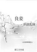 良妾张佳音免费阅读