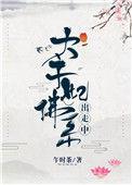 太子妃佛系出走中 作者午时茶