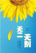 无二无别怎么用