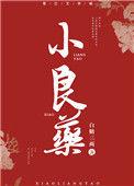 小良药讲什么