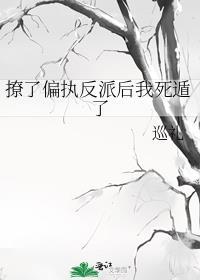 撩了偏执反派后我死遁了免费