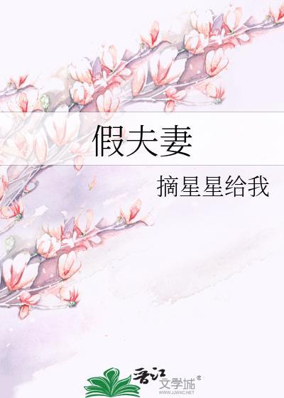 假夫妻卧底电视剧