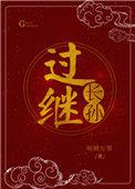 过继长孙txt