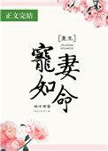 宠妻如命重生