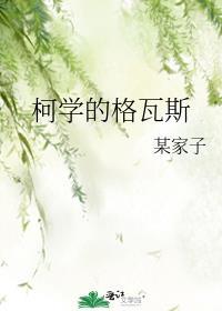 柯学的格瓦斯是什么品牌