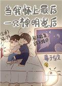 当我怀了最后一只神明崽后在线阅读