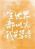 全世界都以为我是学渣实体书
