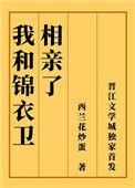 我跟锦衣卫相亲