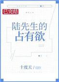 陆先生的