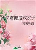 我夫君是个穷书生免费阅读