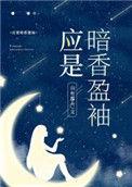 应是暗香盈袖全文免费阅读