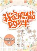 我家肥猫四岁半晋江