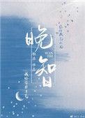 晚智txt