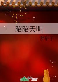 昭昭天明txt链接