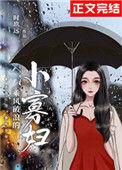 乘风破浪的小寡妇TXT